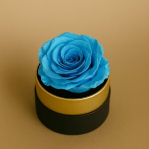 Le mini round blue