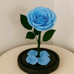 le Valerie blue