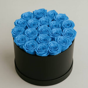 le round large blue