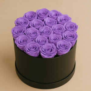 le round large violet