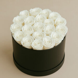 le round large white