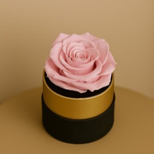 le round mini baby pink