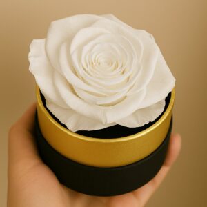 le mini round white