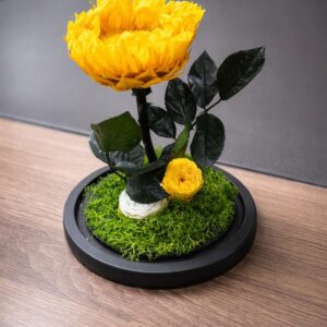 le sunflower