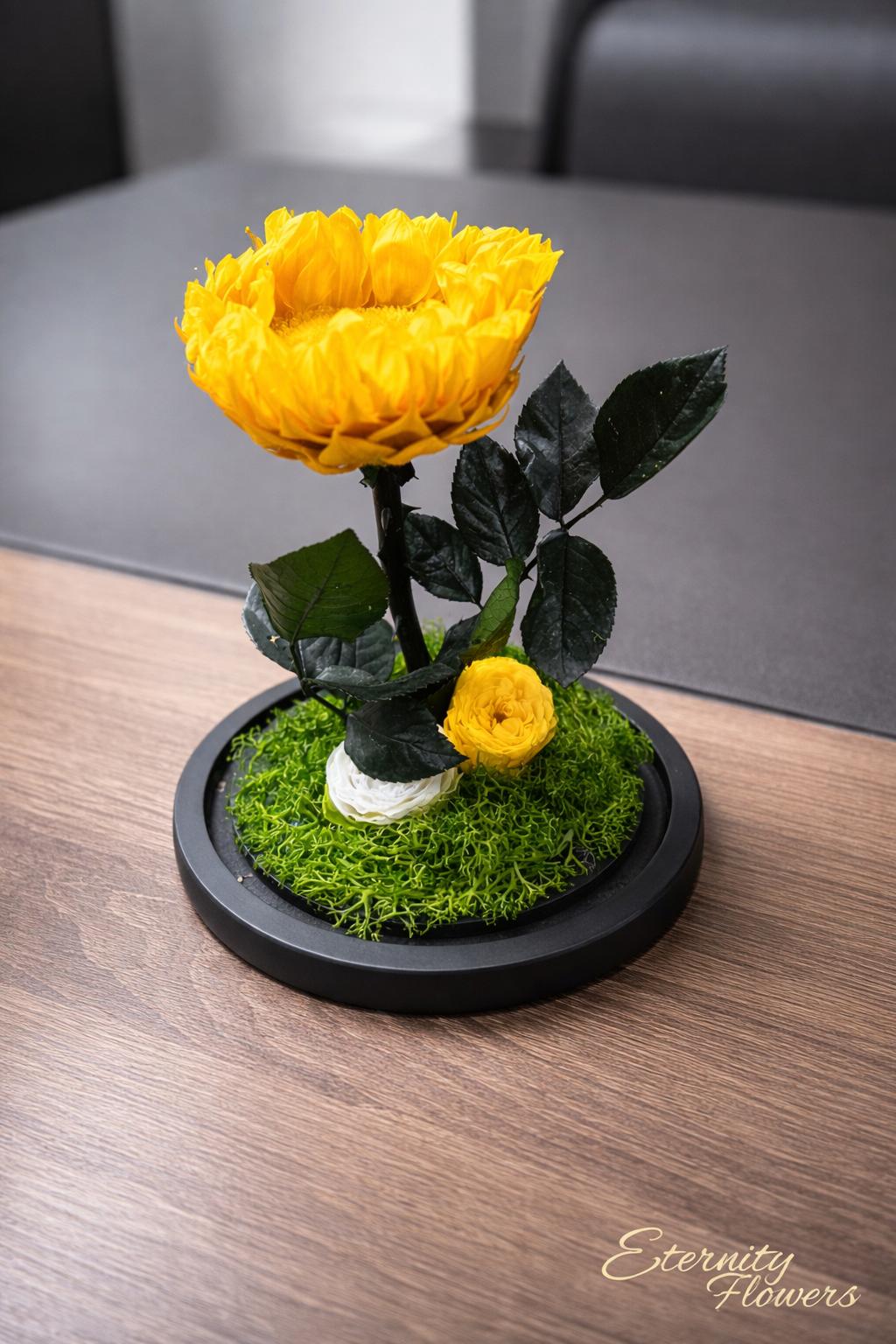 le sunflower