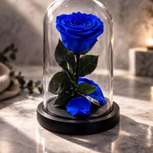 le cupula blue